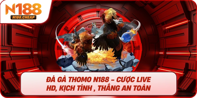Đá gà thomo N188 - Cược live HD, Kịch tính , thắng an toàn 