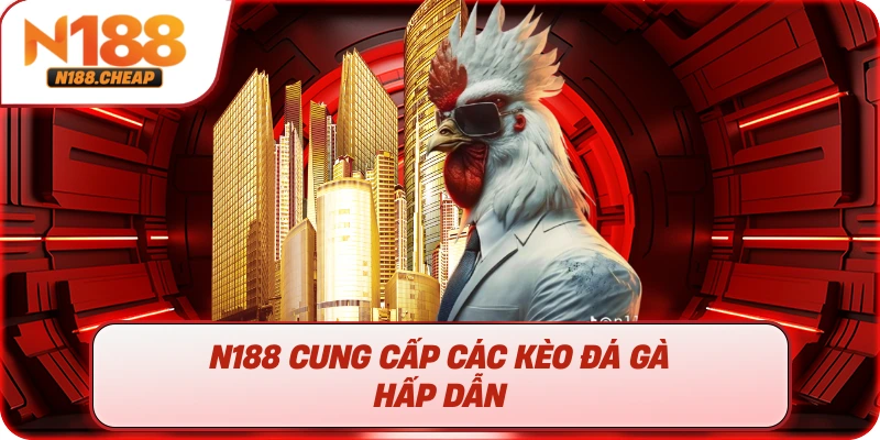N188 cung cấp các kèo đá gà hấp dẫn