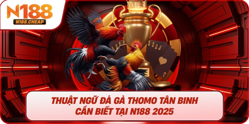 Thuật Ngữ Đá Gà Thomo N188 Tân Binh Cần Biết
